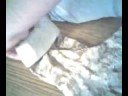 Rolling Sleeves