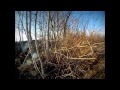 Помста по-техаськи