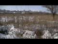 Закон доблесті "Порятунок полоненого" 17.02.13