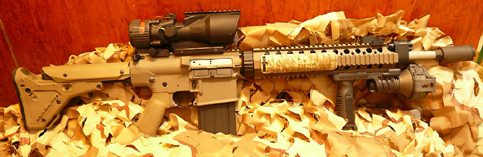 Custom AR-10