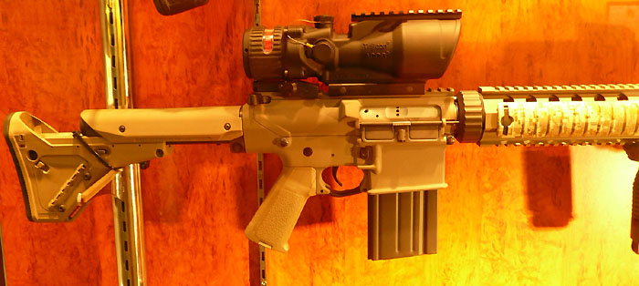 Custom AR-10