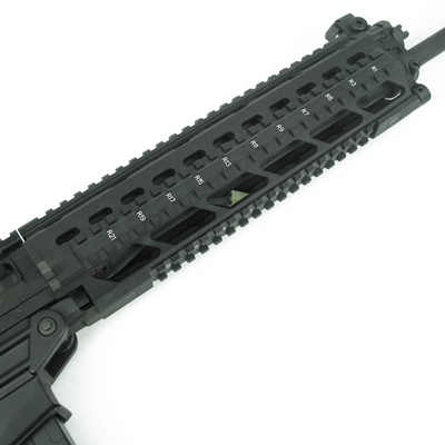 SiG 556 HOLO RAS