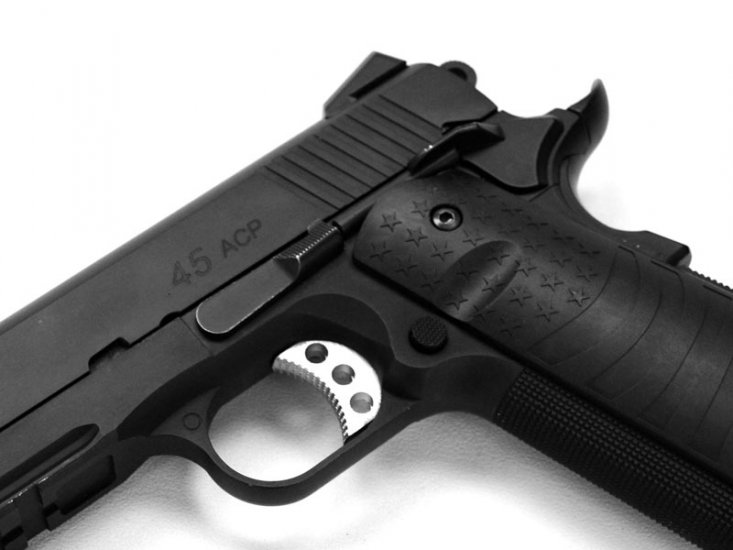 Doublestar 1911 Combat Pistol